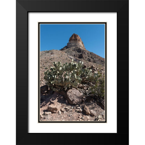 Prickly Pear Cactus and scenery in Big Bend National Park, TX Black Modern Wood Framed Art Print with Double Matting by Highmith, Carol