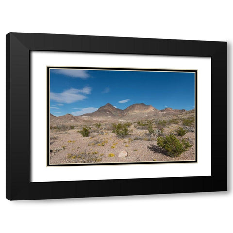 Scenery in Big Bend National Park, TX Black Modern Wood Framed Art Print with Double Matting by Highmith, Carol
