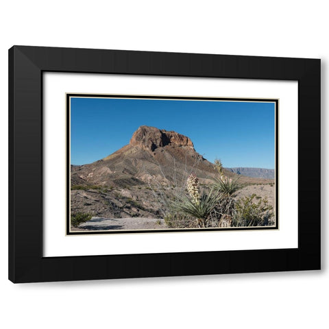Scene from Big Bend National Park in Brewster County, TX Black Modern Wood Framed Art Print with Double Matting by Highmith, Carol