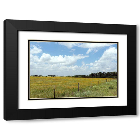 A field of wildflowers near Chappel Hill in Austin County, TX, 2014 Black Modern Wood Framed Art Print with Double Matting by Highmith, Carol