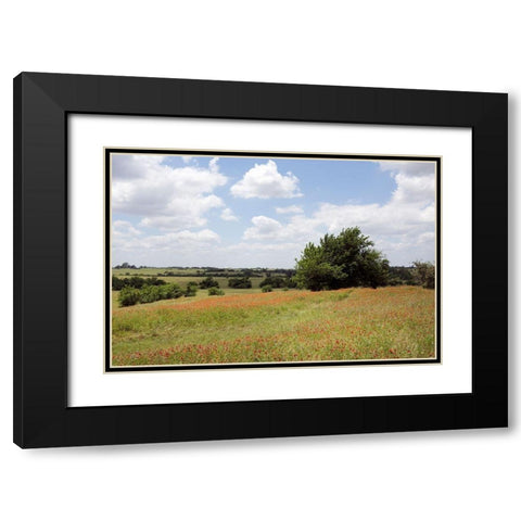 A field of wildflowers near Chappel Hill in Austin County, TX, 2014 Black Modern Wood Framed Art Print with Double Matting by Highmith, Carol