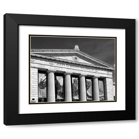 Shedd Aquarium Chicago Illinois Black Modern Wood Framed Art Print with Double Matting by Highsmith, Carol