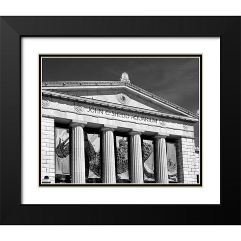 Shedd Aquarium Chicago Illinois Black Modern Wood Framed Art Print with Double Matting by Highsmith, Carol