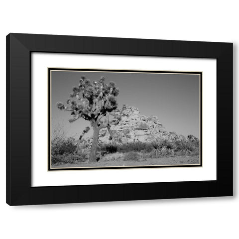 Joshua Tree National Park California Black Modern Wood Framed Art Print with Double Matting by Highsmith, Carol
