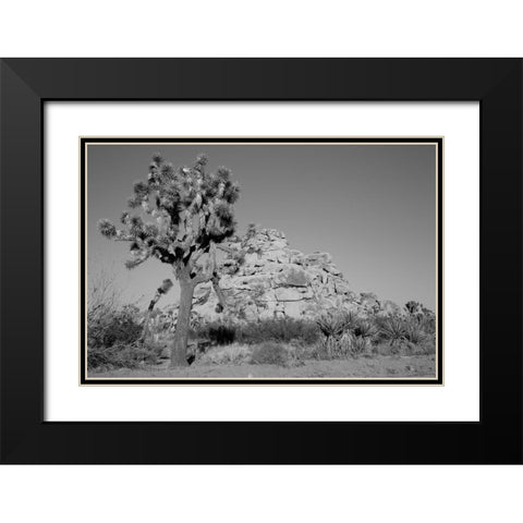 Joshua Tree National Park California Black Modern Wood Framed Art Print with Double Matting by Highsmith, Carol