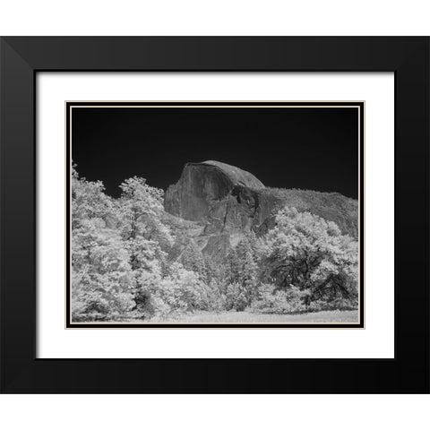 Half Dome in Yosemite National Park California Black Modern Wood Framed Art Print with Double Matting by Highsmith, Carol