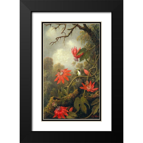 Hummingbird and Passionflowers Black Modern Wood Framed Art Print with Double Matting by Heade, Martin Johnson