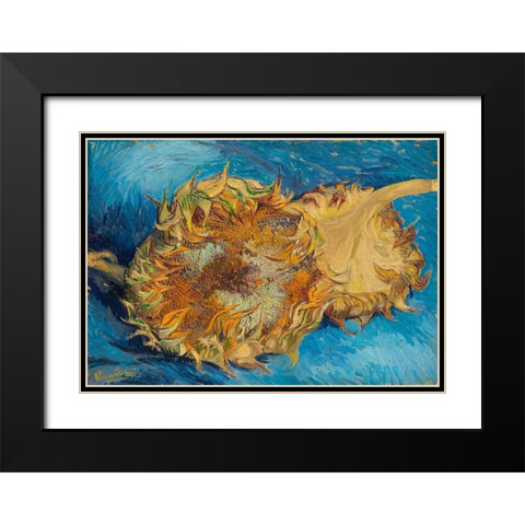 Sunflowers (1887) Black Modern Wood Framed Art Print with Double Matting by Van Gogh, Vincent