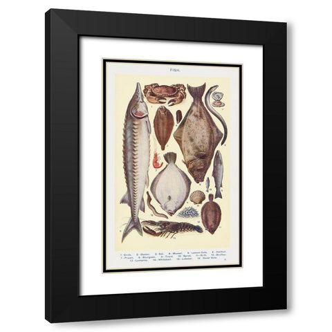 Fish II Black Modern Wood Framed Art Print with Double Matting by Mrs. Beeton''s Book of Household Management