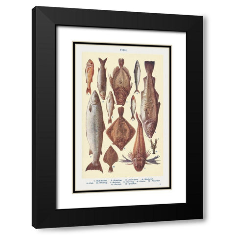 Fish I Black Modern Wood Framed Art Print with Double Matting by Mrs. Beeton''s Book of Household Management