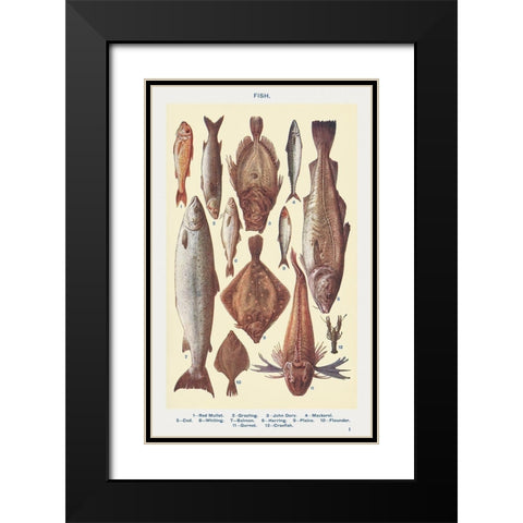 Fish I Black Modern Wood Framed Art Print with Double Matting by Mrs. Beeton''s Book of Household Management