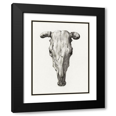 Skull of a cow Black Modern Wood Framed Art Print with Double Matting by Bernard, Jean