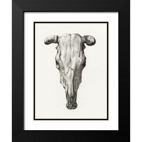 Skull of a cow Black Modern Wood Framed Art Print with Double Matting by Bernard, Jean