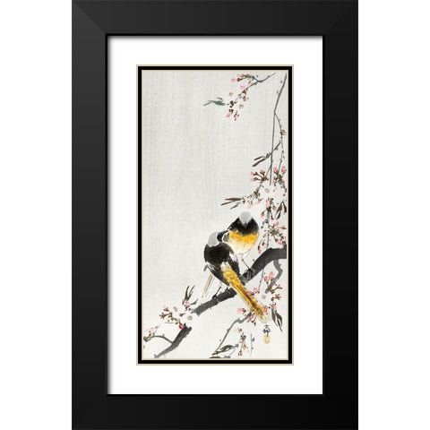 Two sable red tails with cherry blossom Black Modern Wood Framed Art Print with Double Matting by Koson, Ohara