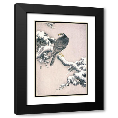 Goshawk on Snow-covered Pine Bough Black Modern Wood Framed Art Print with Double Matting by Koson, Ohara