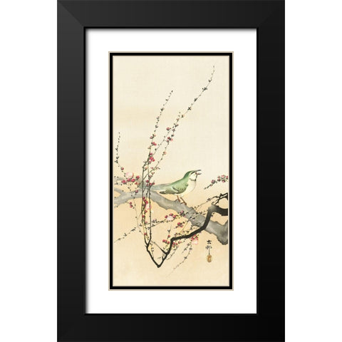 Songbird and plum blossom Black Modern Wood Framed Art Print with Double Matting by Koson, Ohara