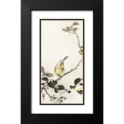 Bunting on blossom branch Black Modern Wood Framed Art Print with Double Matting by Koson, Ohara