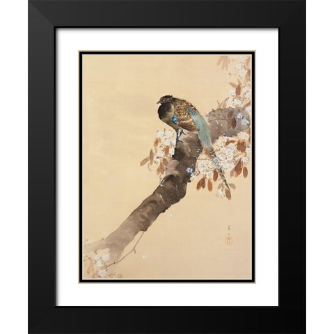 Pheasant on cherry blossom branch Black Modern Wood Framed Art Print with Double Matting by Koson, Ohara