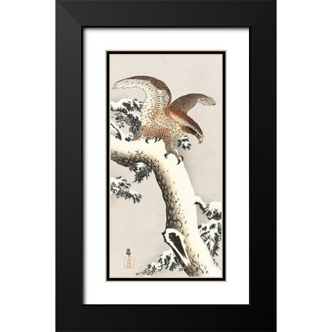Eagle on a tree branch Black Modern Wood Framed Art Print with Double Matting by Koson, Ohara