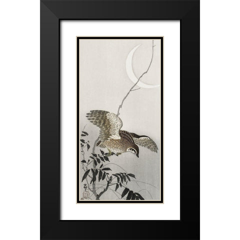 Quail at moon sickle  Black Modern Wood Framed Art Print with Double Matting by Koson, Ohara