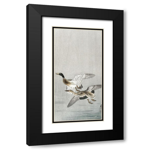 Couple of ducks Black Modern Wood Framed Art Print with Double Matting by Koson, Ohara