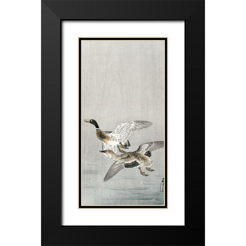 Couple of ducks Black Modern Wood Framed Art Print with Double Matting by Koson, Ohara