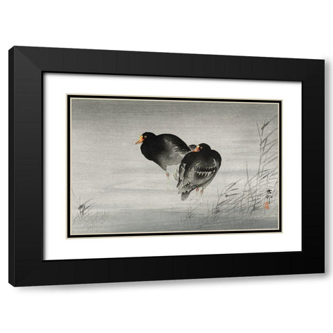 Two moorhens Black Modern Wood Framed Art Print with Double Matting by Koson, Ohara
