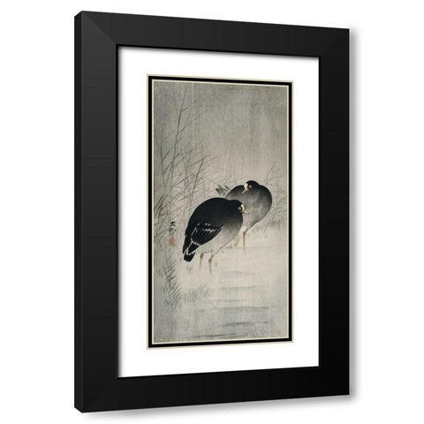 Moorhills between reeds Black Modern Wood Framed Art Print with Double Matting by Koson, Ohara