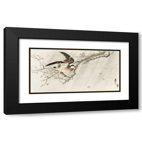 Gray starling in storm Black Modern Wood Framed Art Print with Double Matting by Koson, Ohara