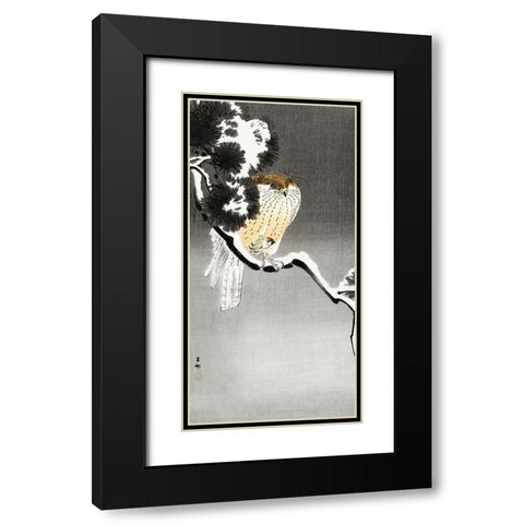 Hawk with sparrow Black Modern Wood Framed Art Print with Double Matting by Koson, Ohara
