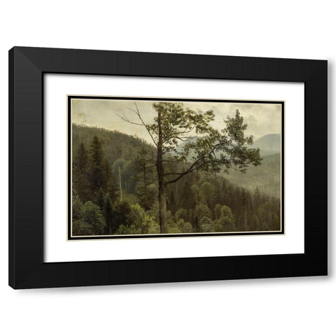 Tree covered mountains Black Modern Wood Framed Art Print with Double Matting by Bierstadt, Albert