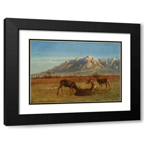 Deer in Mountain Home Black Modern Wood Framed Art Print with Double Matting by Bierstadt, Albert