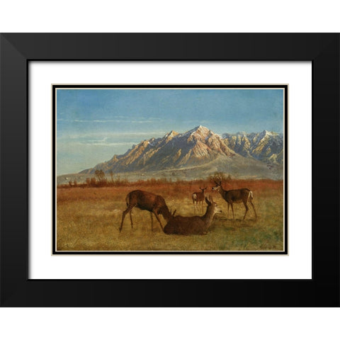 Deer in Mountain Home Black Modern Wood Framed Art Print with Double Matting by Bierstadt, Albert