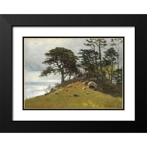 Cypress Point, Monterey Black Modern Wood Framed Art Print with Double Matting by Bierstadt, Albert