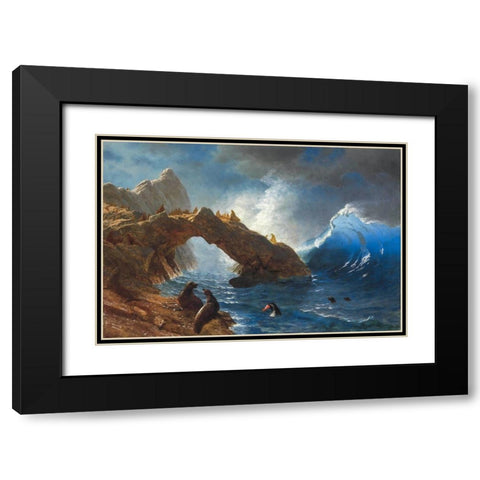 Seals on the Rocks Black Modern Wood Framed Art Print with Double Matting by Bierstadt, Albert