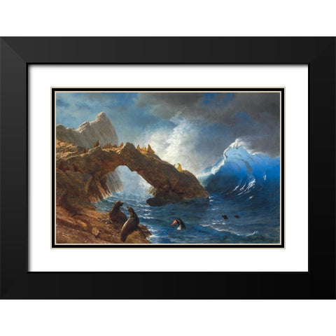 Seals on the Rocks Black Modern Wood Framed Art Print with Double Matting by Bierstadt, Albert