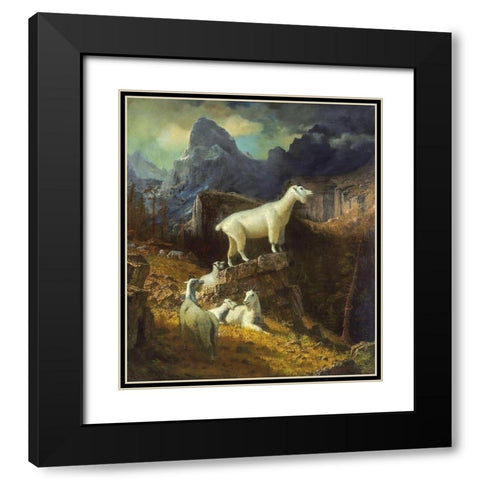 Rocky Mountain Goats Black Modern Wood Framed Art Print with Double Matting by Bierstadt, Albert