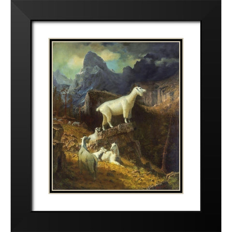 Rocky Mountain Goats Black Modern Wood Framed Art Print with Double Matting by Bierstadt, Albert