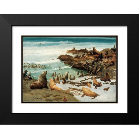 Seal Rocks, Farallons Black Modern Wood Framed Art Print with Double Matting by Bierstadt, Albert