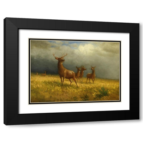 Three Deer and a Stag Black Modern Wood Framed Art Print with Double Matting by Bierstadt, Albert