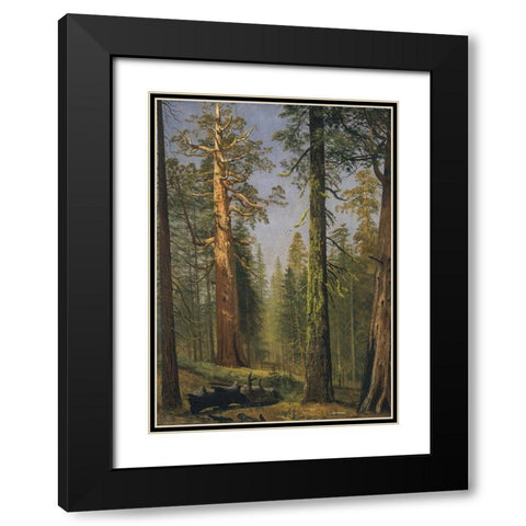 The Grizzly Giant Sequoia, Mariposa Grove, California Black Modern Wood Framed Art Print with Double Matting by Bierstadt, Albert