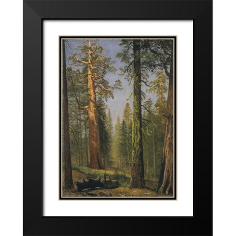 The Grizzly Giant Sequoia, Mariposa Grove, California Black Modern Wood Framed Art Print with Double Matting by Bierstadt, Albert