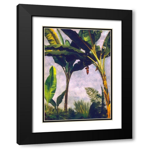 Banana Trees Black Modern Wood Framed Art Print with Double Matting by Bierstadt, Albert
