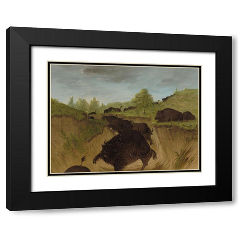 Grizzly Bears Attacking Buffalo Black Modern Wood Framed Art Print with Double Matting by Catlin, George