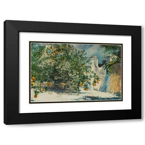 Orange trees and gate Black Modern Wood Framed Art Print with Double Matting by Homer, Winslow
