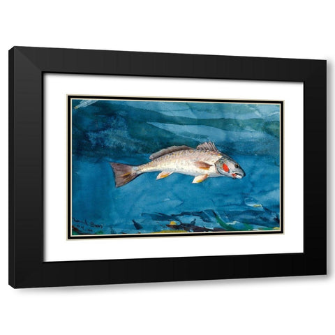 Channel Bass Black Modern Wood Framed Art Print with Double Matting by Homer, Winslow