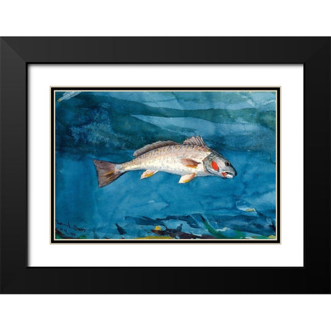 Channel Bass Black Modern Wood Framed Art Print with Double Matting by Homer, Winslow