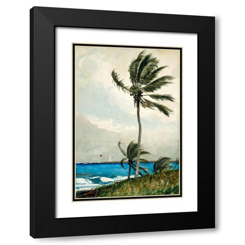 Palm Tree, Nassau Black Modern Wood Framed Art Print with Double Matting by Homer, Winslow