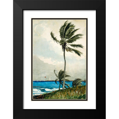 Palm Tree, Nassau Black Modern Wood Framed Art Print with Double Matting by Homer, Winslow