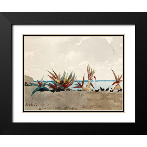 Nassau Beach with Century Plants Black Modern Wood Framed Art Print with Double Matting by Homer, Winslow